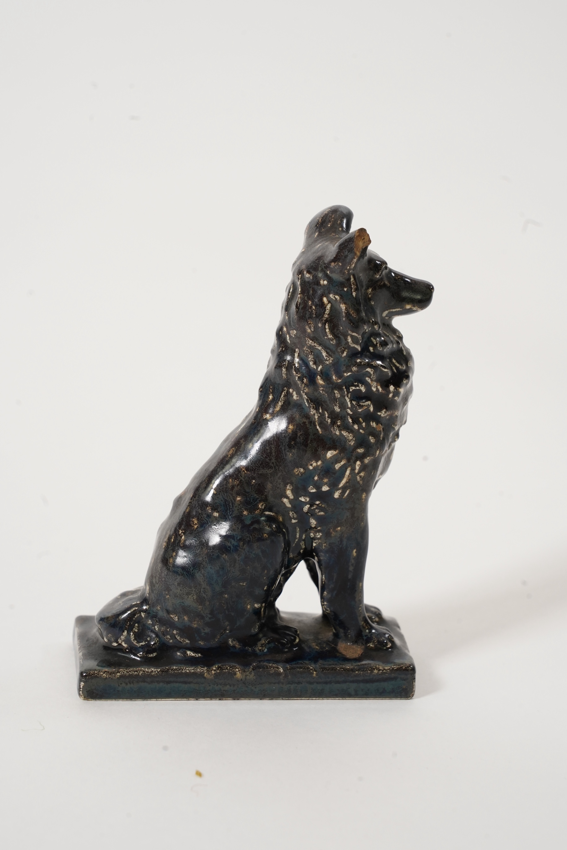 A Rare Pilkington's Royal Lancastrian model of a Border Collie